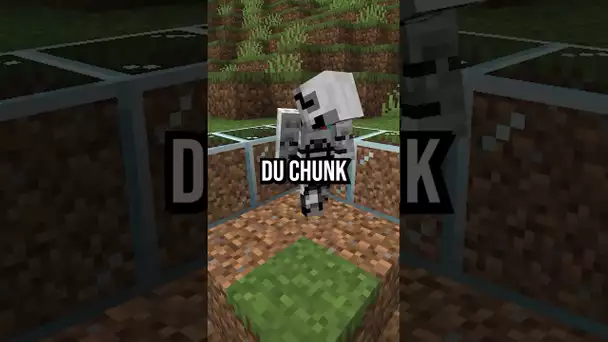 J'ai miné un chunk a la main...