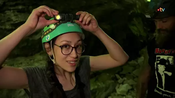 Ici en France : la jungle de Darcey (Côte-d'Or)