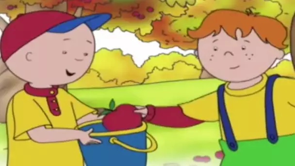 Caillou FRANÇAIS - Caillou va au magasin (S04E14) | dessin animé complet | Caillou en Français