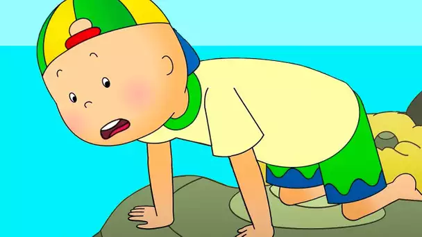 Caillou aux Bassins Rocheux | Caillou en Français