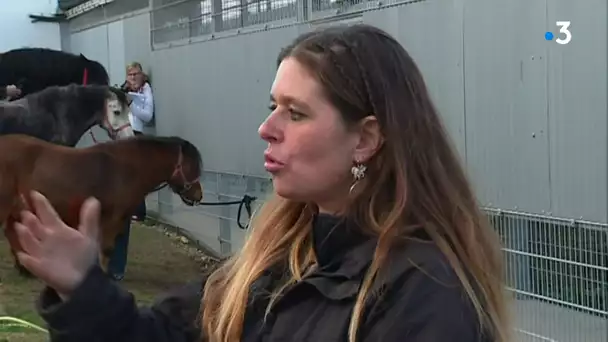 A Argentan, les détenus s'évadent grâce aux chevaux
