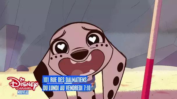 101, rue des Dalmatiens - Du lundi au vendredi à 7h10 sur Disney Channel !