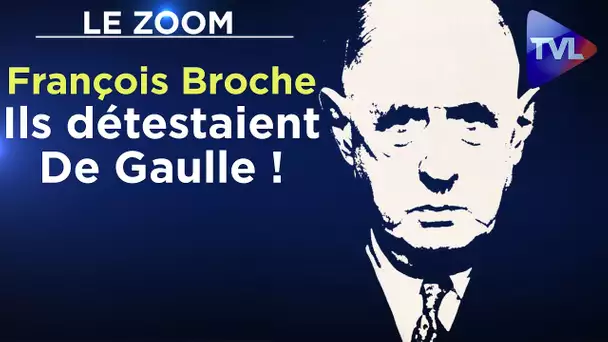 Ils détestaient De Gaulle ! - Le Zoom - François Broche - TVL