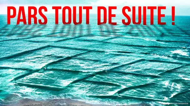 Si tu vois des vagues carrées, sors de l’eau immédiatement !