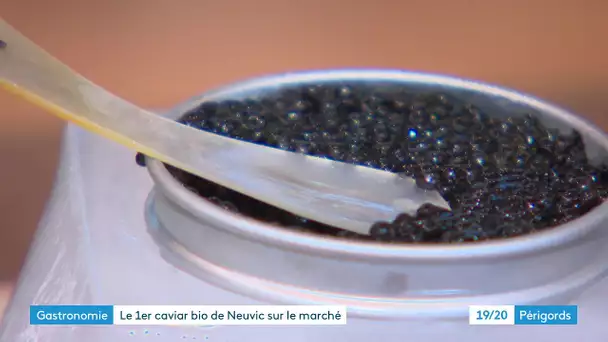 Noël : le caviar de Neuvic se met au bio
