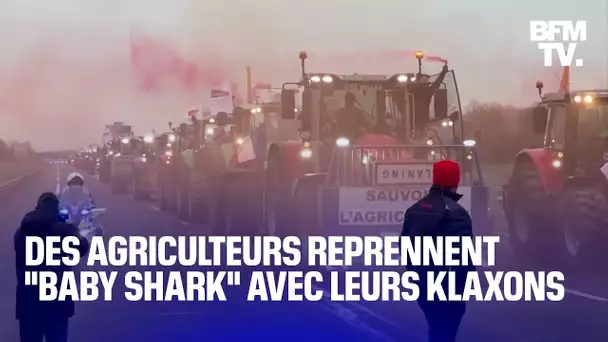 Des agriculteurs reprennent la musique "Baby Shark" avec leurs klaxons durant un blocage