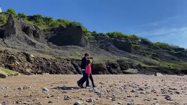 A la découverte des plages du Calvados : les fossiles des falaises des Vaches noires