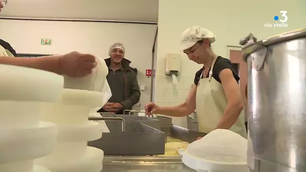 Per Sti Lochi Sartène (1/5) : Mallaroni, famille de bergers