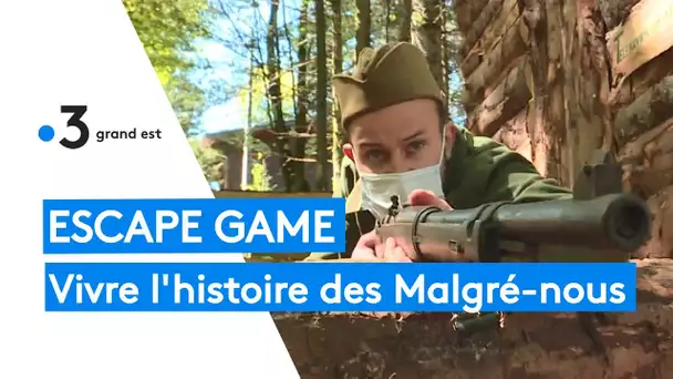 Escape game : découvrir l'histoire des Malgré-nous au milieu de la forêt
