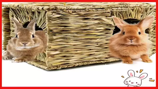 BWOGUE Extra Large Grass House for Rabbits,Hand Crafted Natural Grass Hideaway Foldable Bed Hut