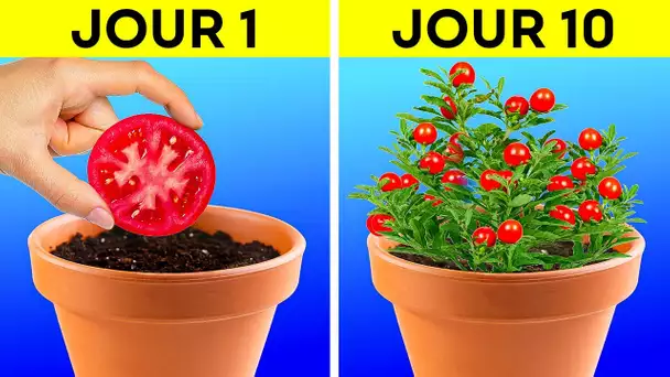 IDÉES GÉNIALES POUR TON JARDIN