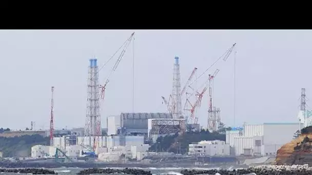 Catastrophe de Fukushima : des ex-dirigeants de Tepco condamnés à près de 100 milliards d'euros