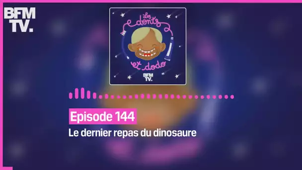 Episode 144 : Le dernier repas du dinosaure - Les dents et dodo