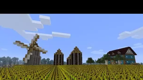 QUI EST L’ABONNÉ(E?) QUI A GAGNÉ LES 200€ ? Minecraft