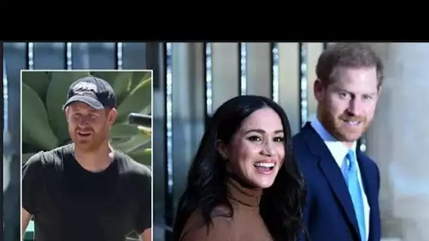 le changement de nom de carrière de Meghan Markle représente un « risque énorme » alors que Harry