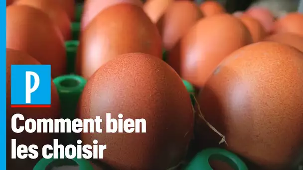 Comment bien choisir ses oeufs ?