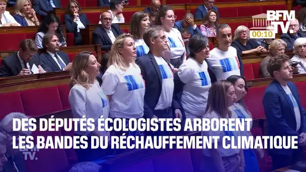 Des députés écologistes arborent les bandes du réchauffement climatique