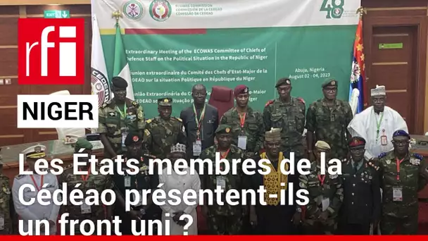 Niger:«Cette tension entre dialogue et intervention militaire écarte des questions importantes»• RFI