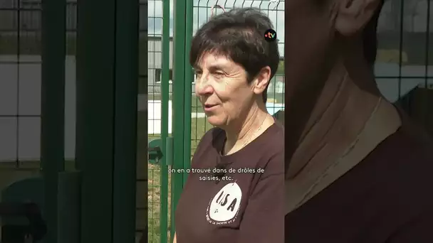 Tarzan, le bouc abandonnée en forêt, cherche une famille d'accueil en urgence 🐐