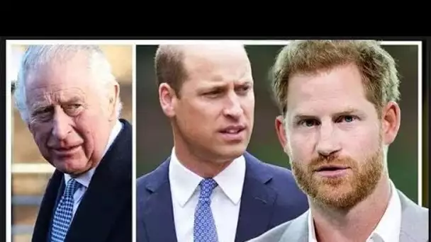 La famille royale "ne rencontrera pas" le prince Harry s'il les "inscrit" dans ses mémoires de recha