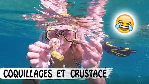 VACANCES, MER, COQUILLAGES ... et drôle de Crustacé 😂 / Corsica Family vlog