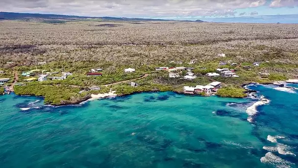 Les Galápagos, un paradis unique au monde