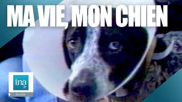 1987 : Ces Français accros à leurs animaux 🐶 | Archive INA