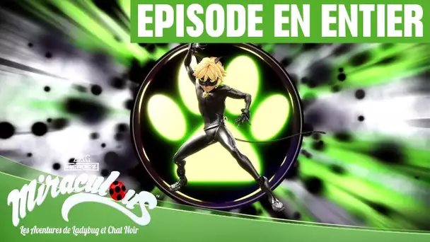 Miraculous : Les secrets - Plagg