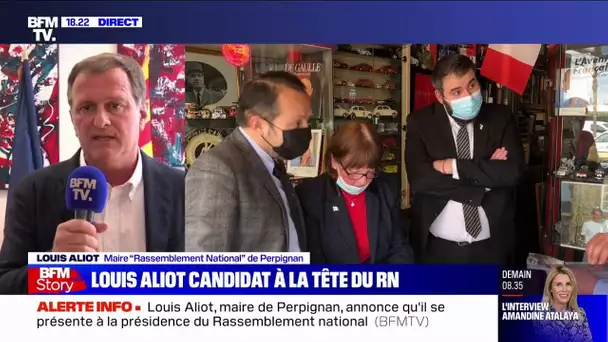 Louis Aliot candidat à la tête du RN