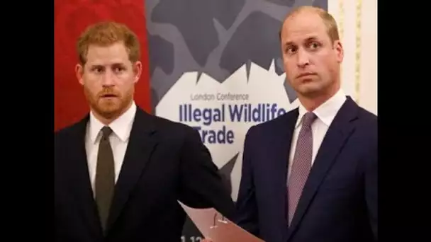 Dualité entre Harry et William : les assistants royaux nerveux… « On marche sur...