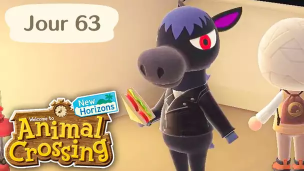 Jour 63 | Rosco au Camping 😍| Animal Crossing : New Horizons