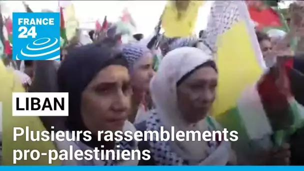 Liban : plusieurs rassemblements pro-palestiniens organisés dans le pays • FRANCE 24