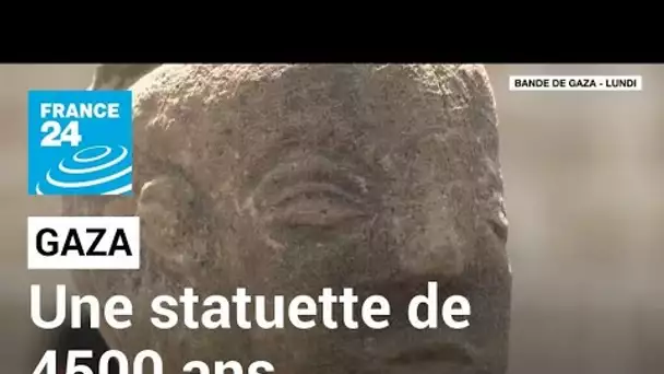 Découverte d'une statuette vieille de plus de 4500 ans à Gaza • FRANCE 24