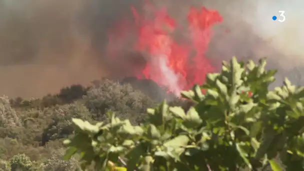 Aude : l'incendie de Bizanet fait cinq blessés parmi les pompiers et semble fixé