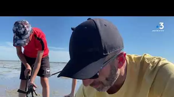 Grandes marées : la pêche à pied a toujours ses adeptes