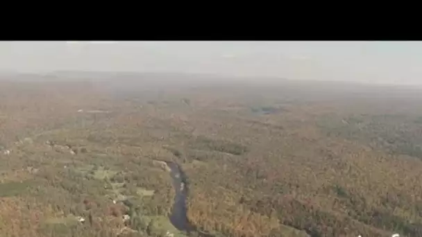 Etats-Unis : forêt rouge à Adirondacks dans l'état de New-York