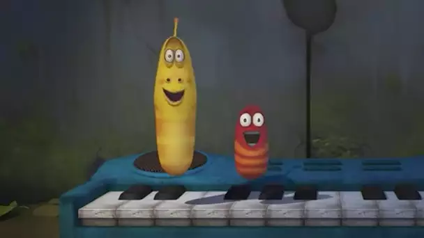 LARVA - Animation drôle | THE LARVA&#039;S CONCERT | Cartoons pour enfants | LARVA Officiel