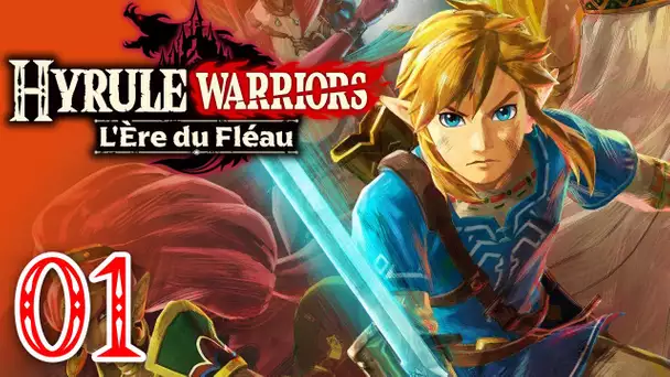 🔴LE NOUVEAU ZELDA : Hyrule Warriors !