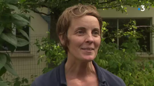 Les potagers de la victoire, au jardin des plantes de Caen