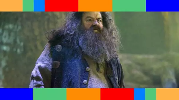 Robbie Coltrane, l'interprète légendaire d'Hagrid dans Harry Potter, est mort à l'âge de 72 ans