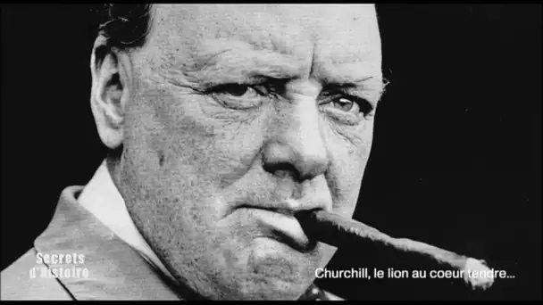 Secrets d&#039;Histoire - Churchill, le lion au coeur tendre - La Bibliothèque du palais de Blenheim