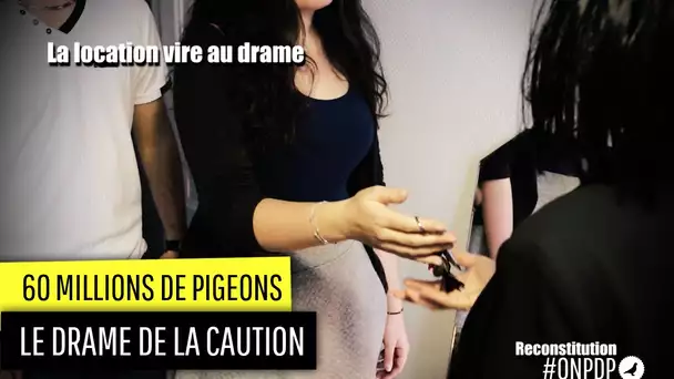 60 Millions de Pigeons : le drame de la location