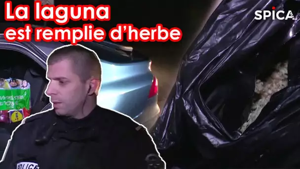 Douane : la laguna est remplie d'herbe