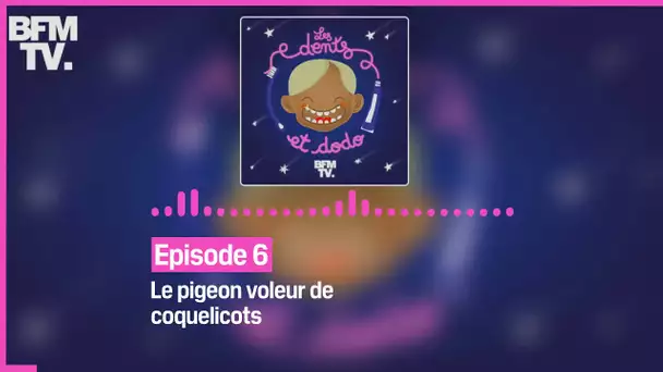 Episode 6 : Le pigeon voleur de coquelicots - Les dents et dodo