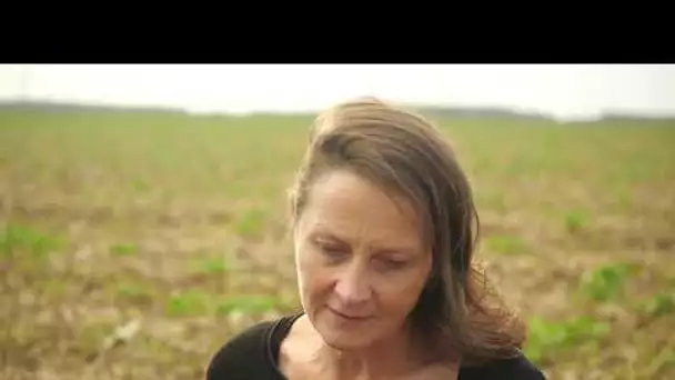 Documentaire "Tour de plaine" - Bonus : biologie et agronomie