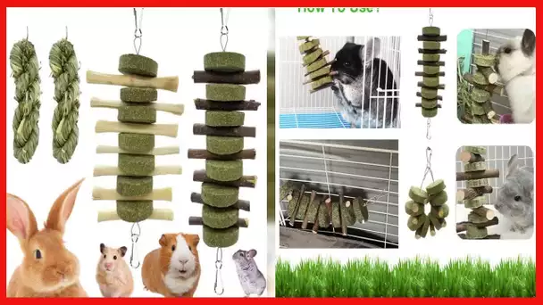 Rabbit Guinea Pig Bunny Chew Toys for Teeth Grinding ROZJOVU Cage Hanging Toy Organic Rabbit Treats