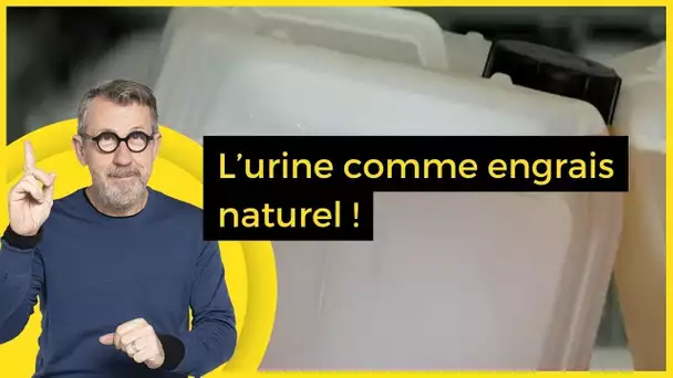 L’urine comme engrais naturel !  - C Jamy