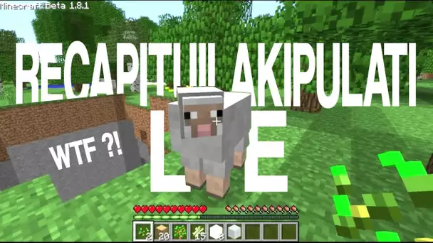 Vidéo commentée sur Minecraft ! GROS BUG ! "Le récapituilakipulati"