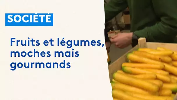 Le grossiste Atypique, une solution pour les fruits et légumes moches