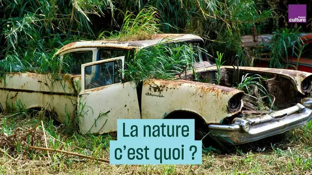 La nature, c&#039;est quoi ? pour Jeanne Moreau, de Funès, Cousteau...